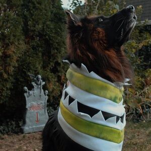 Dog Costume - Sandworm from Beetlejuice